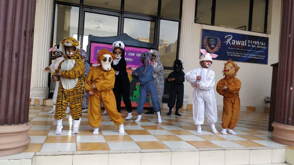 animal-rights-day
