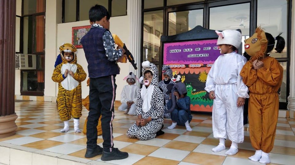 animal-rights-day
