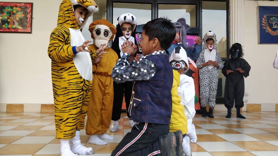animal-rights-day
