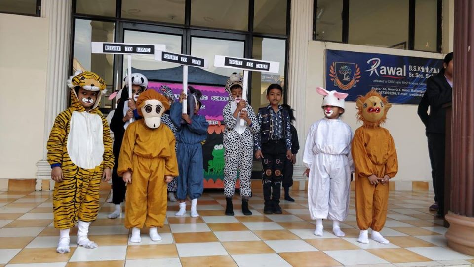 animal-rights-day