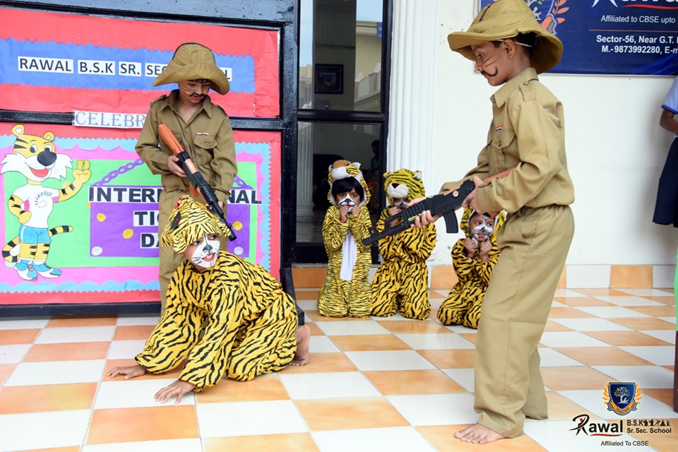 Tiger Day