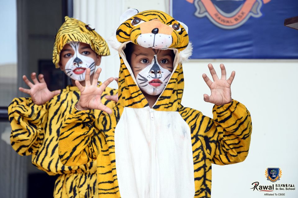 Tiger Day