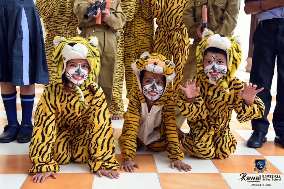 Tiger Day