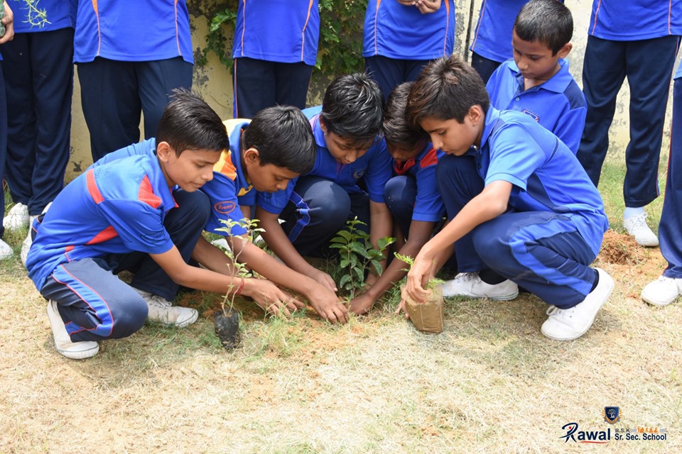 van-mahotsav