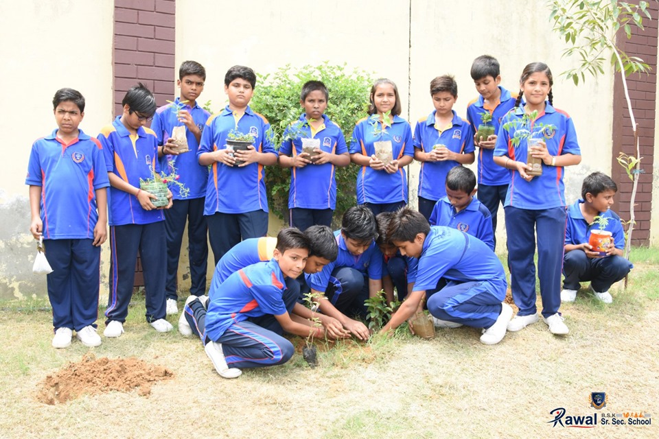 van-mahotsav